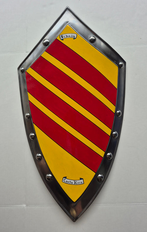 Custom Hand Painted Family Crest Steel Shield